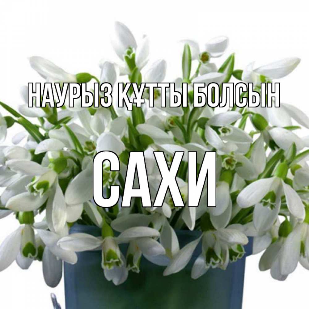 Күн сайын ашық хат с именем, САХИ Наурыз құтты болсын цветы к наурызу Онлайн тегін жүктеп алу тілектері бар керемет карта 