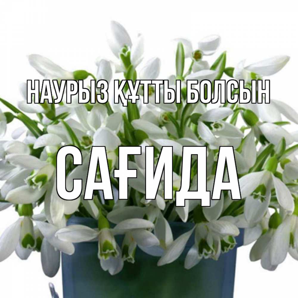 Күн сайын ашық хат с именем, САҒИДА Наурыз құтты болсын цветы к наурызу Онлайн тегін жүктеп алу тілектері бар керемет карта 