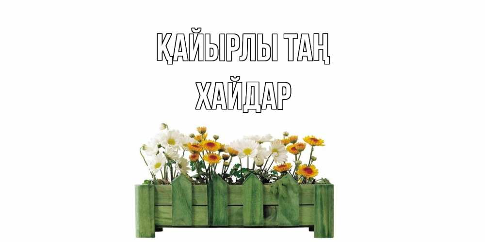 Күн сайын ашық хат с именем, ХАЙДАР Қайырлы таң цветы Онлайн тегін жүктеп алу тілектері бар керемет карта 