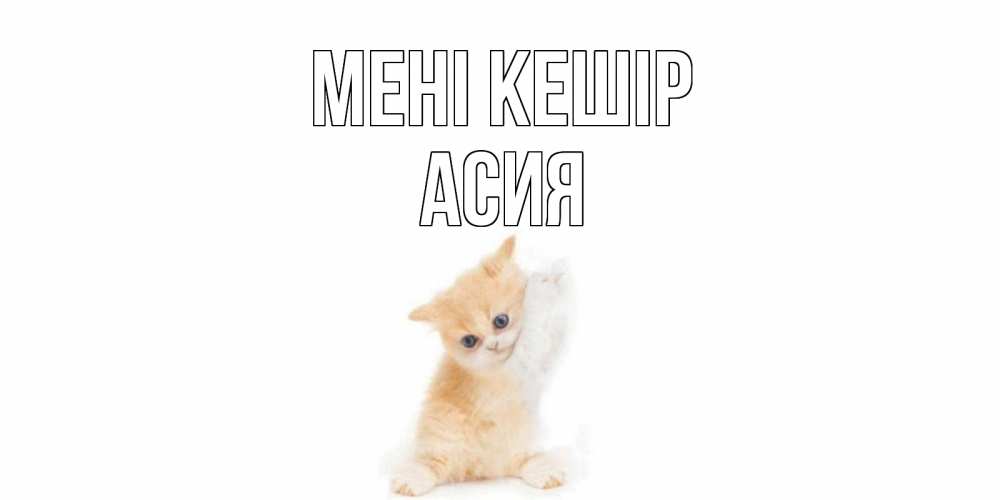 Күн сайын ашық хат с именем, АСИЯ Мені кешір кот Онлайн тегін жүктеп алу тілектері бар керемет карта 