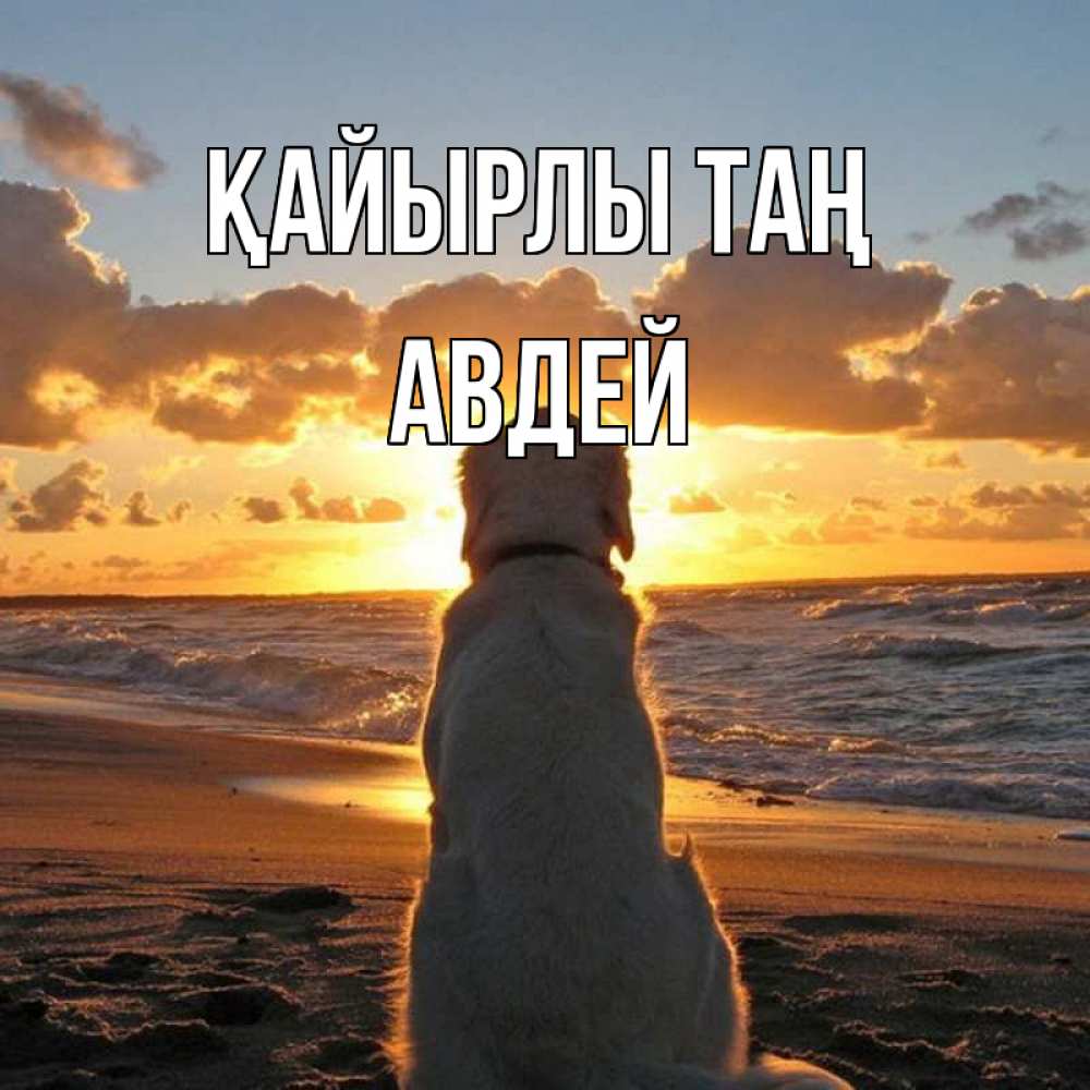 Күн сайын ашық хат с именем, Авдей Қайырлы таң восход солнца Онлайн тегін жүктеп алу тілектері бар керемет карта 