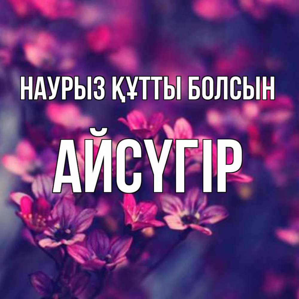 Күн сайын ашық хат с именем, Айсүгір Наурыз құтты болсын небольшие цветы 1 Онлайн тегін жүктеп алу тілектері бар керемет карта 
