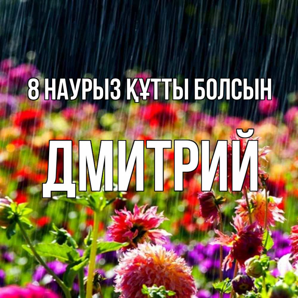 Күн сайын ашық хат с именем, Дмитрий 8 наурыз құтты болсын цветы под дождиком к международному женскому дню Онлайн тегін жүктеп алу тілектері бар керемет карта 