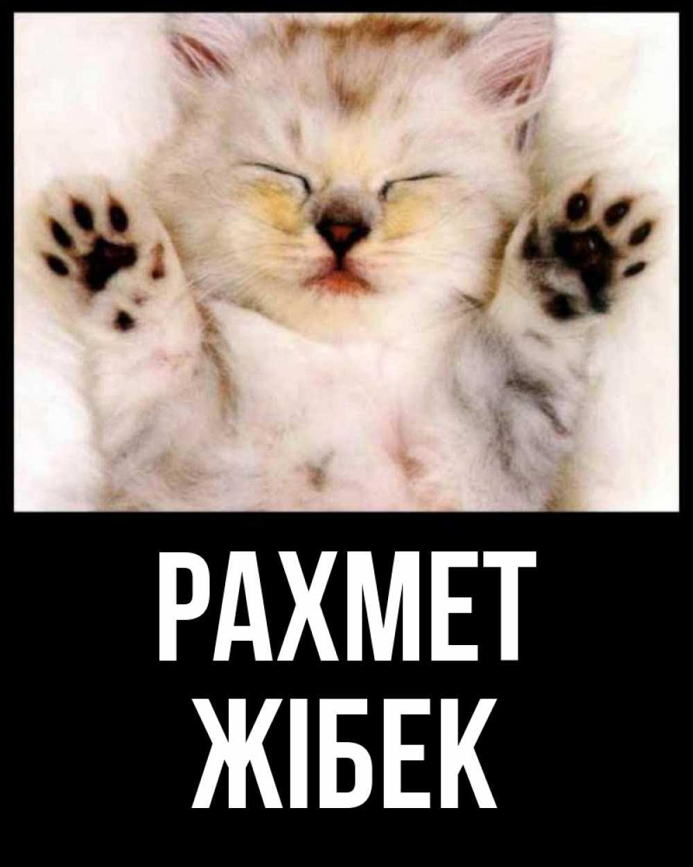 Күн сайын ашық хат с именем, ЖІБЕК рахмет маленький котенок Онлайн тегін жүктеп алу тілектері бар керемет карта 