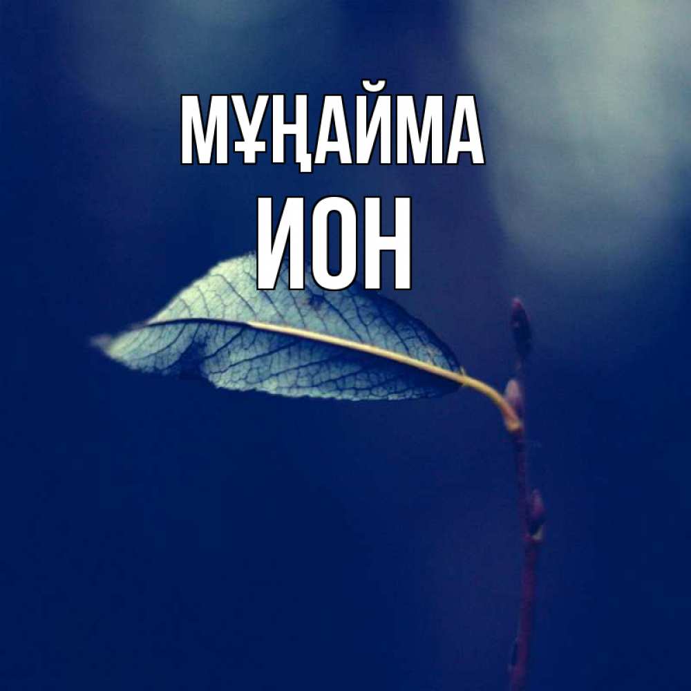 Күн сайын ашық хат с именем, Ион Мұңайма растение Онлайн тегін жүктеп алу тілектері бар керемет карта 