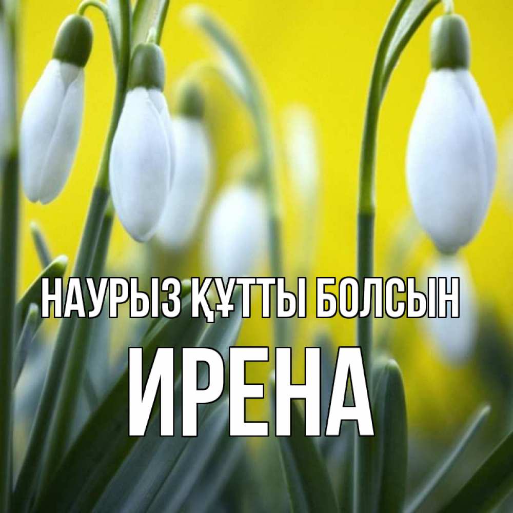 Күн сайын ашық хат с именем, Ирена Наурыз құтты болсын весенние цветы Онлайн тегін жүктеп алу тілектері бар керемет карта 
