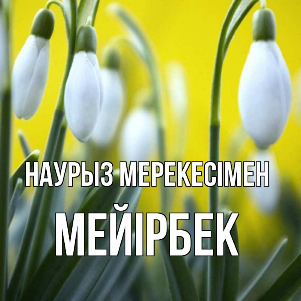 Күн сайын ашық хат с именем, МЕЙІРБЕК Наурыз мерекесімен весенние цветы Онлайн тегін жүктеп алу тілектері бар керемет карта 