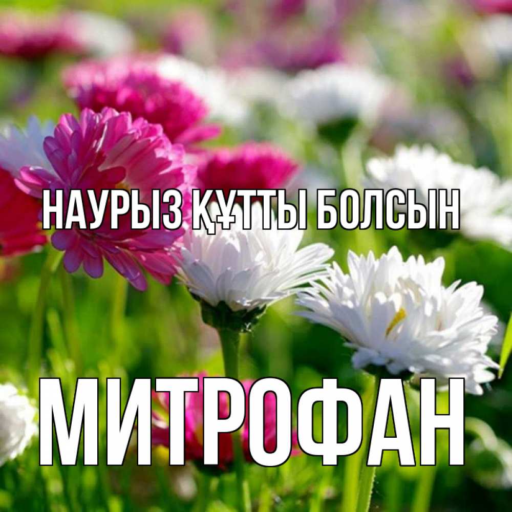 Күн сайын ашық хат с именем, Митрофан Наурыз құтты болсын наурыз Онлайн тегін жүктеп алу тілектері бар керемет карта 