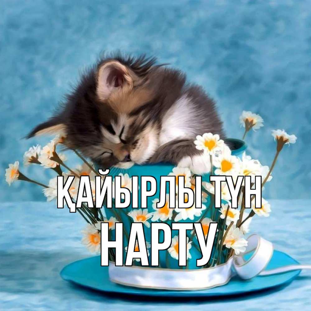Күн сайын ашық хат с именем, НАРТУ Қайырлы түн котенок спит в кружке с блюдцем Онлайн тегін жүктеп алу тілектері бар керемет карта 