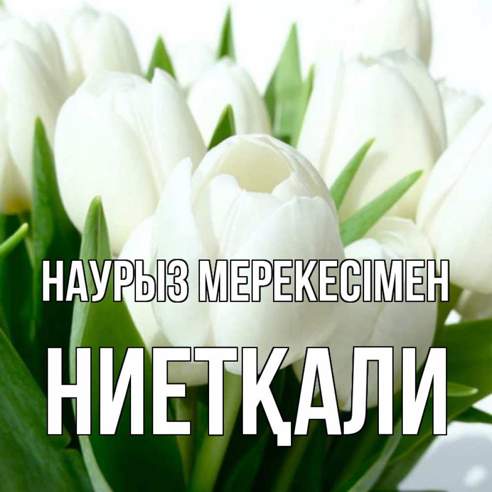 Күн сайын ашық хат с именем, НИЕТҚАЛИ Наурыз мерекесімен цветы Онлайн тегін жүктеп алу тілектері бар керемет карта 