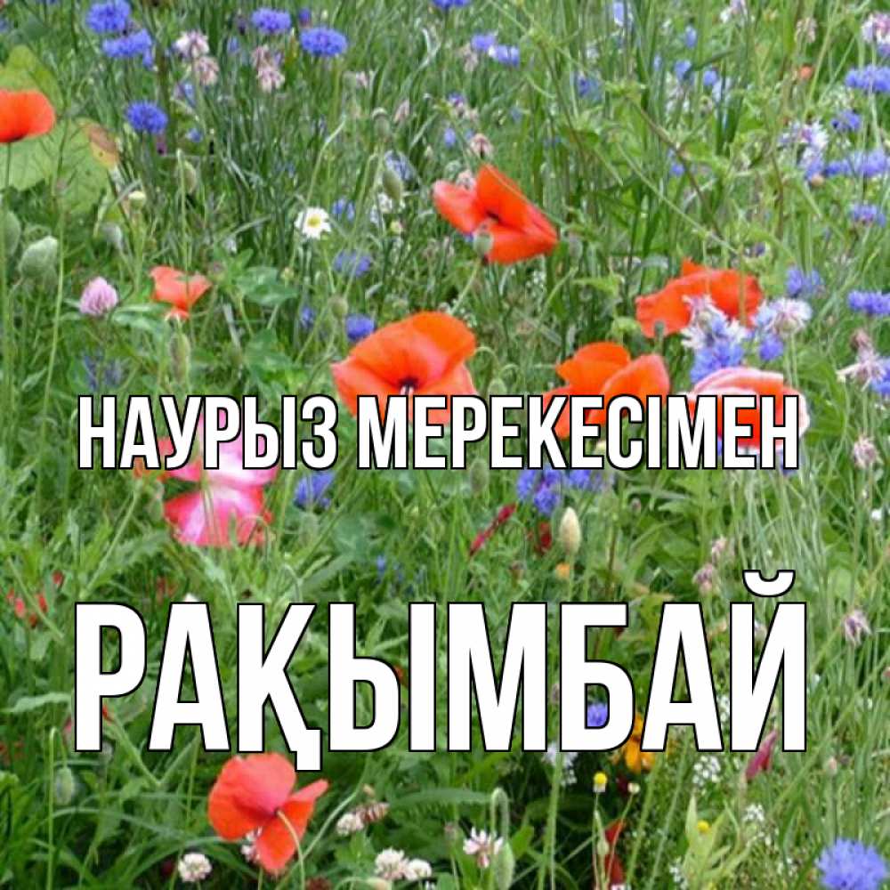 Күн сайын ашық хат с именем, Рақымбай Наурыз мерекесімен праздник весны наурыз супер открытка Онлайн тегін жүктеп алу тілектері бар керемет карта 