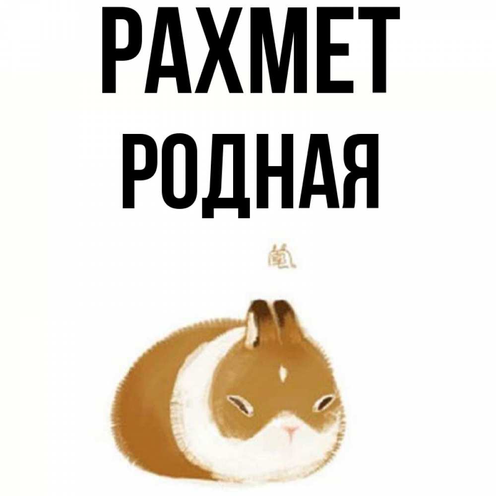 Күн сайын ашық хат с именем, Родная рахмет коричнево белый домашний питомец Онлайн тегін жүктеп алу тілектері бар керемет карта 