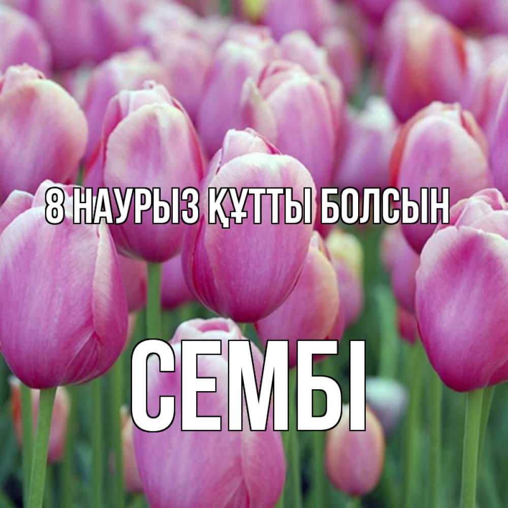 Күн сайын ашық хат с именем, СЕМБІ 8 наурыз құтты болсын на международный женский день 3 Онлайн тегін жүктеп алу тілектері бар керемет карта 