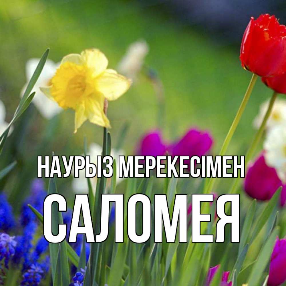 Күн сайын ашық хат с именем, Саломея Наурыз мерекесімен праздник весны наурыз 3 Онлайн тегін жүктеп алу тілектері бар керемет карта 