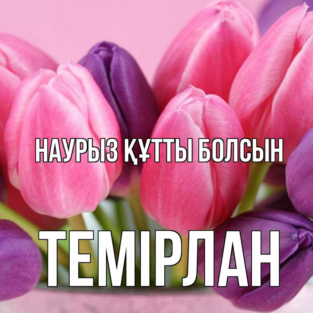 Күн сайын ашық хат с именем, ТЕМІРЛАН Наурыз құтты болсын маме 1 Онлайн тегін жүктеп алу тілектері бар керемет карта 