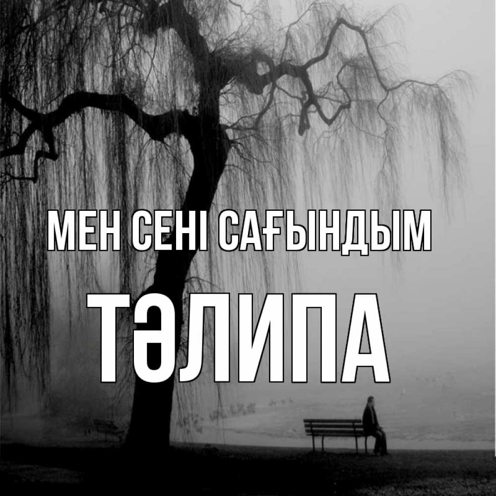 Күн сайын ашық хат с именем, ТӘЛИПА Мен сені сағындым лавочка под деревом я жду тебя Онлайн тегін жүктеп алу тілектері бар керемет карта 