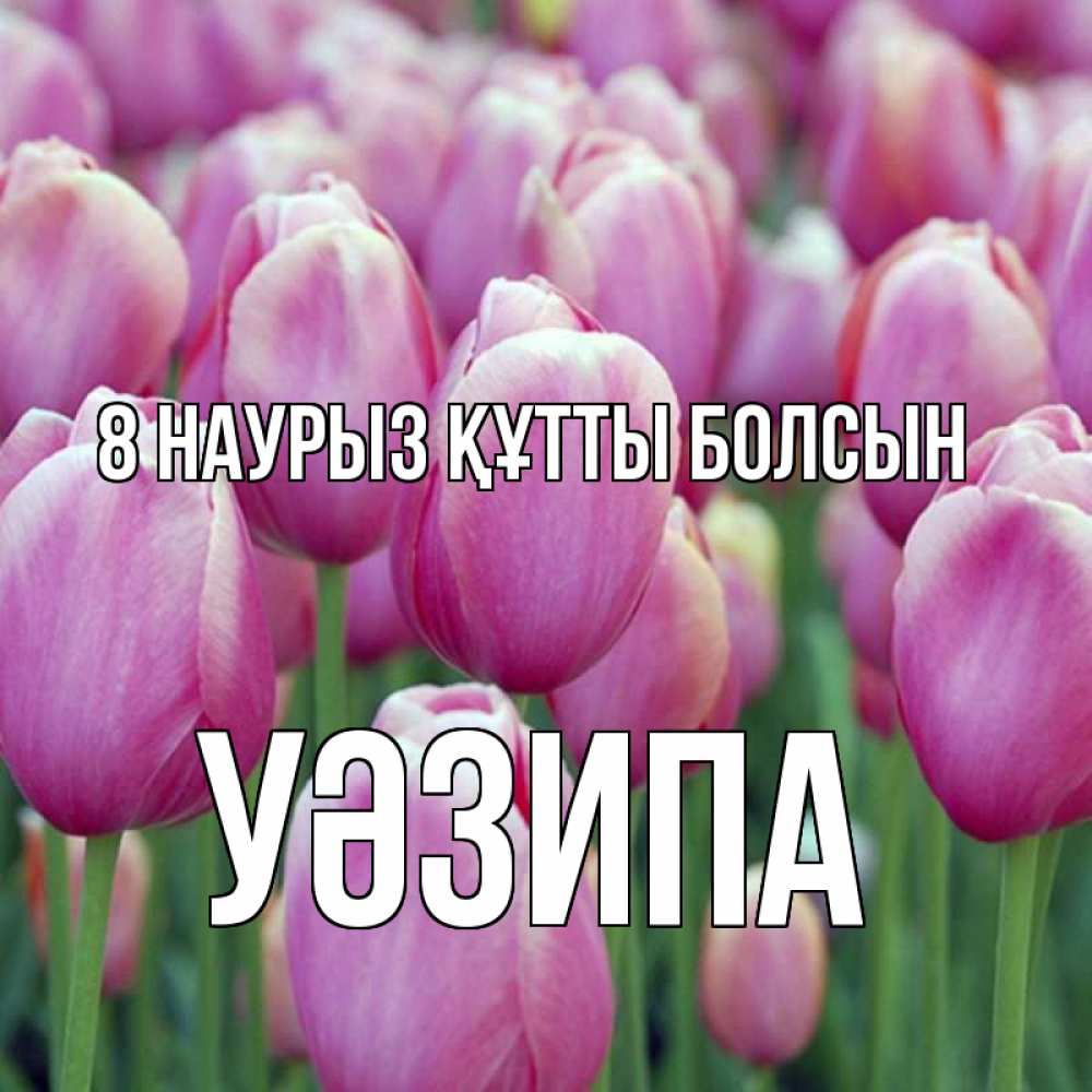 Күн сайын ашық хат с именем, УӘЗИПА 8 наурыз құтты болсын на международный женский день 3 Онлайн тегін жүктеп алу тілектері бар керемет карта 
