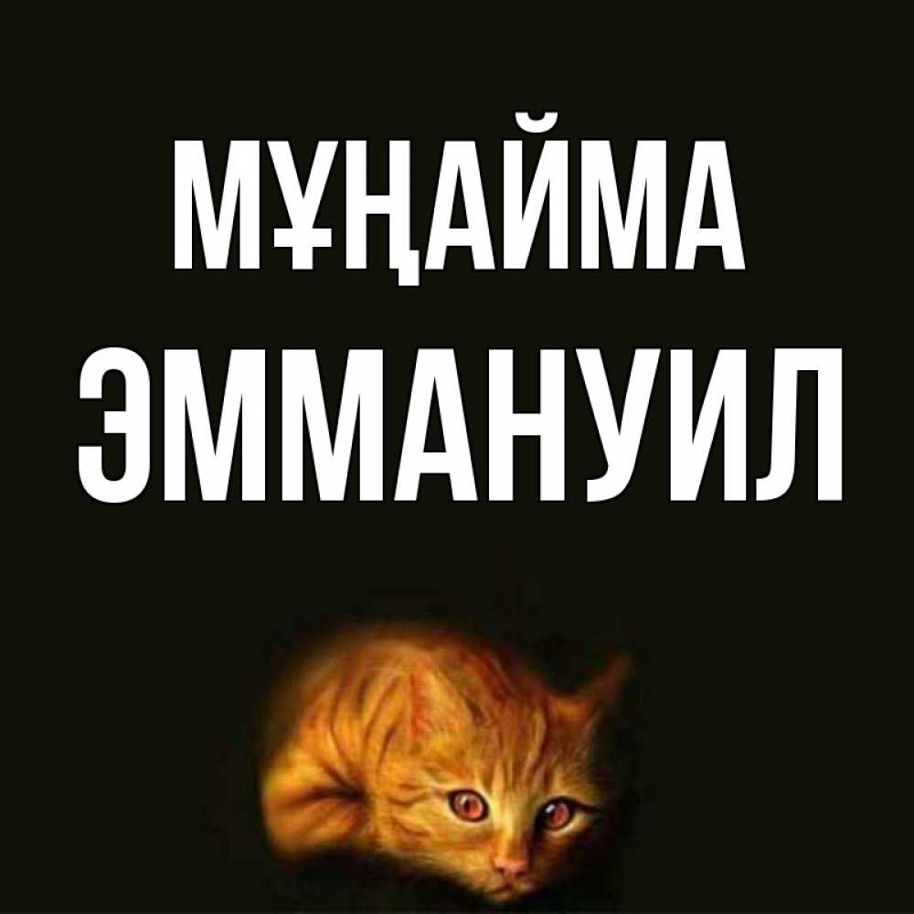 Күн сайын ашық хат с именем, Эммануил Мұңайма лежащий кот в темноте Онлайн тегін жүктеп алу тілектері бар керемет карта 