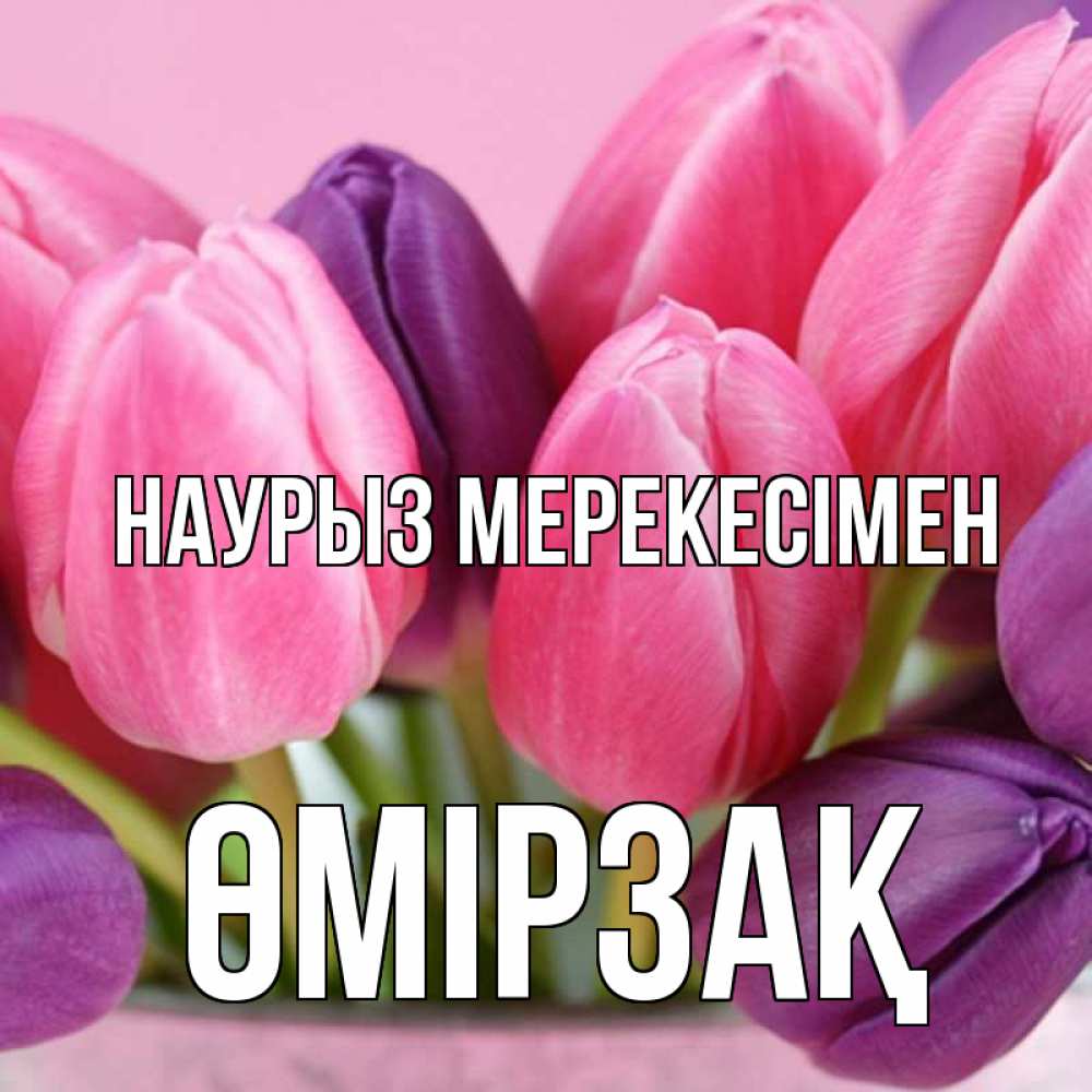 Күн сайын ашық хат с именем, ӨМІРЗАҚ Наурыз мерекесімен маме 1 Онлайн тегін жүктеп алу тілектері бар керемет карта 