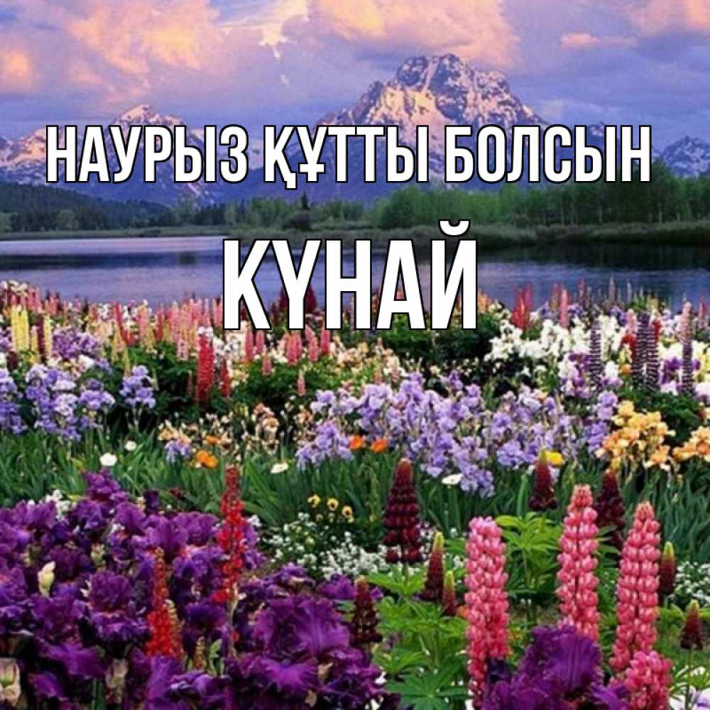 Күн сайын ашық хат с именем, КҮНАЙ Наурыз құтты болсын наурыз Онлайн тегін жүктеп алу тілектері бар керемет карта 