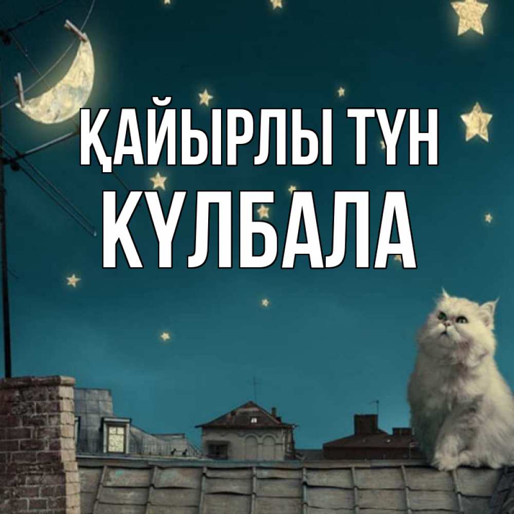 Күн сайын ашық хат с именем, Күлбала Қайырлы түн белый кот сидит на крыше Онлайн тегін жүктеп алу тілектері бар керемет карта 