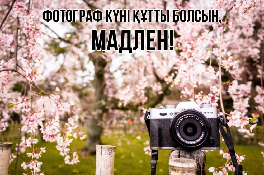 Күн сайын ашық хат с именем, Мадлен Фотограф күні құтты болсын сирень с днем фотографа, фотоаппарат Онлайн тегін жүктеп алу тілектері бар керемет карта 