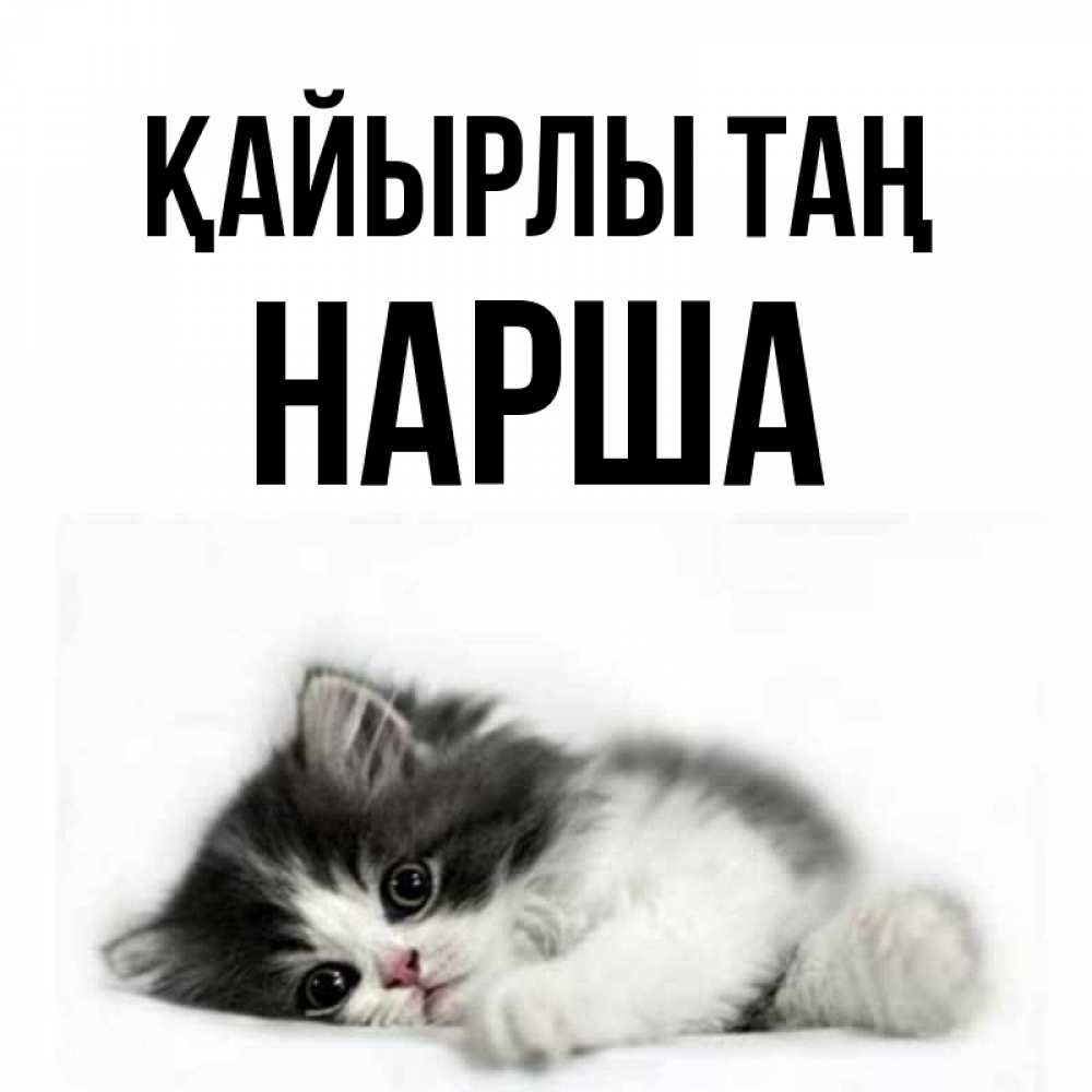 Күн сайын ашық хат с именем, НАРША Қайырлы таң кот лапки Онлайн тегін жүктеп алу тілектері бар керемет карта 