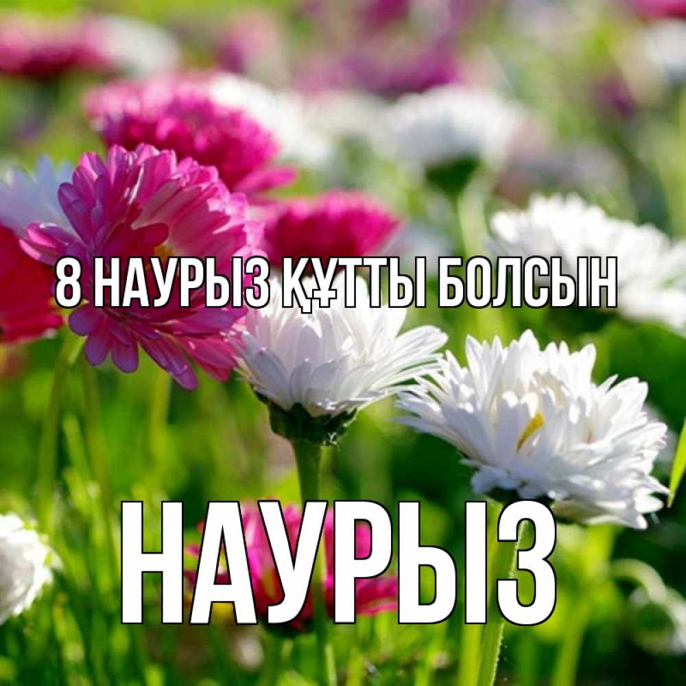 Күн сайын ашық хат с именем, НАУРЫЗ 8 наурыз құтты болсын международный женский день 1 Онлайн тегін жүктеп алу тілектері бар керемет карта 
