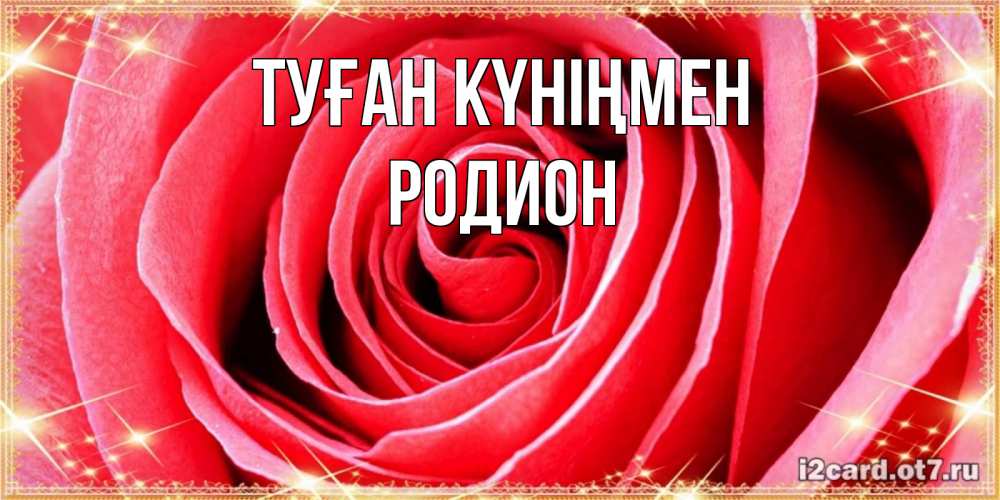 Күн сайын ашық хат с именем, Родион Туған күніңмен розовая роза очень крупный бутон Онлайн тегін жүктеп алу тілектері бар керемет карта 