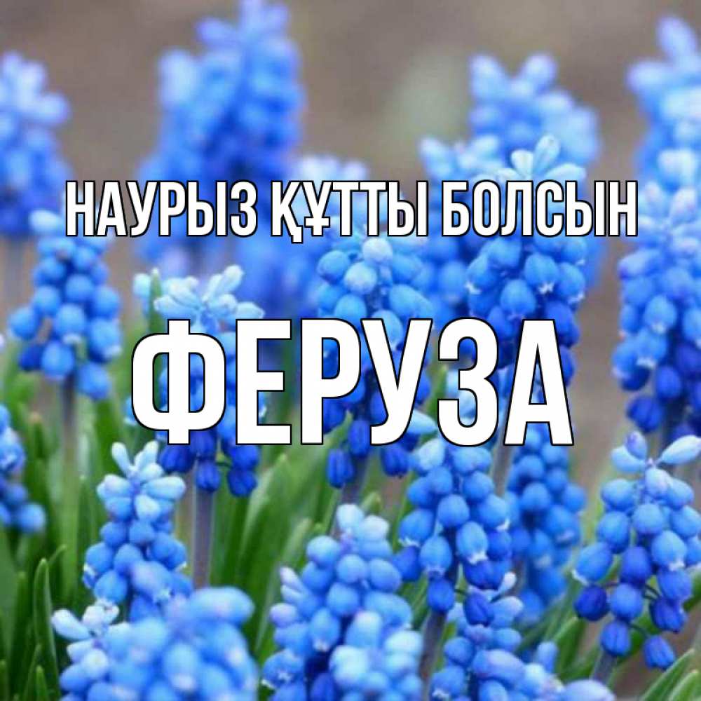 Күн сайын ашық хат с именем, Феруза Наурыз құтты болсын Поздравительная открытка для женщин с цветами на праздничную дату Онлайн тегін жүктеп алу тілектері бар керемет карта 