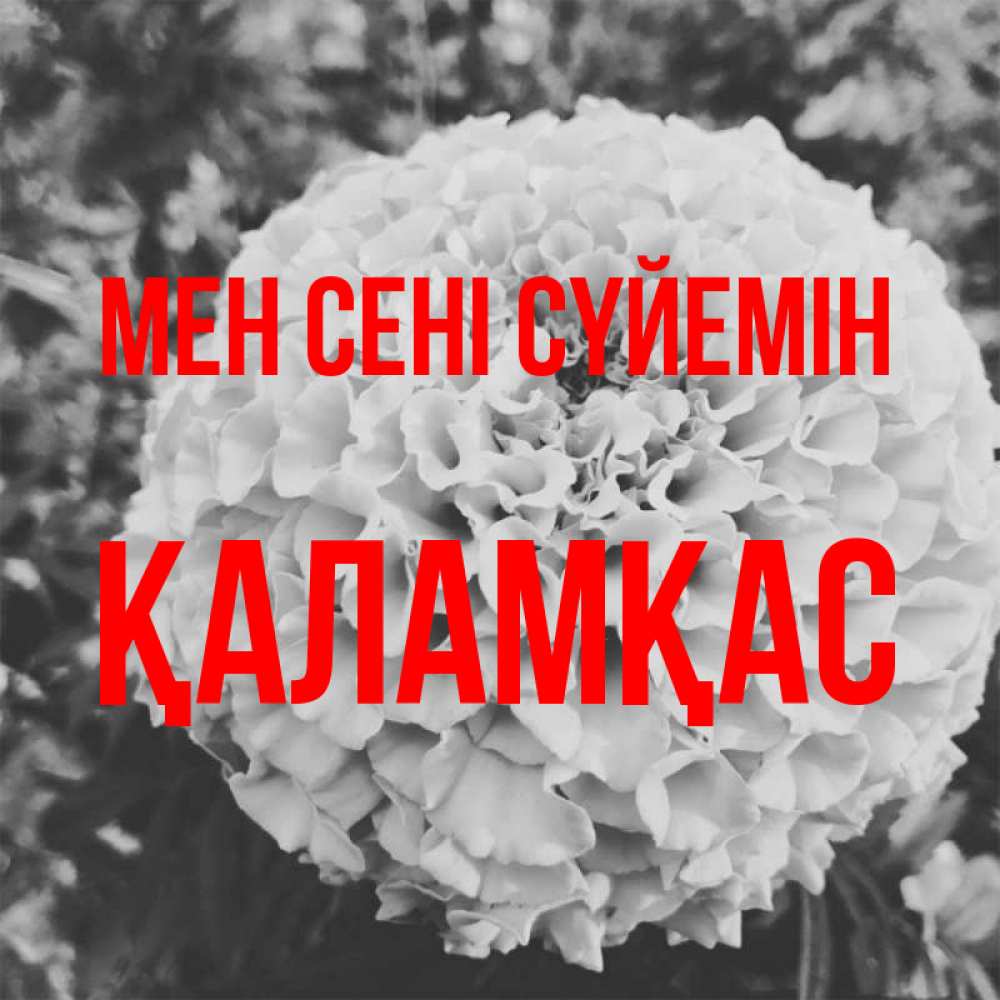 Күн сайын ашық хат с именем, ҚАЛАМҚАС Мен сені сүйемін подпись Онлайн тегін жүктеп алу тілектері бар керемет карта 