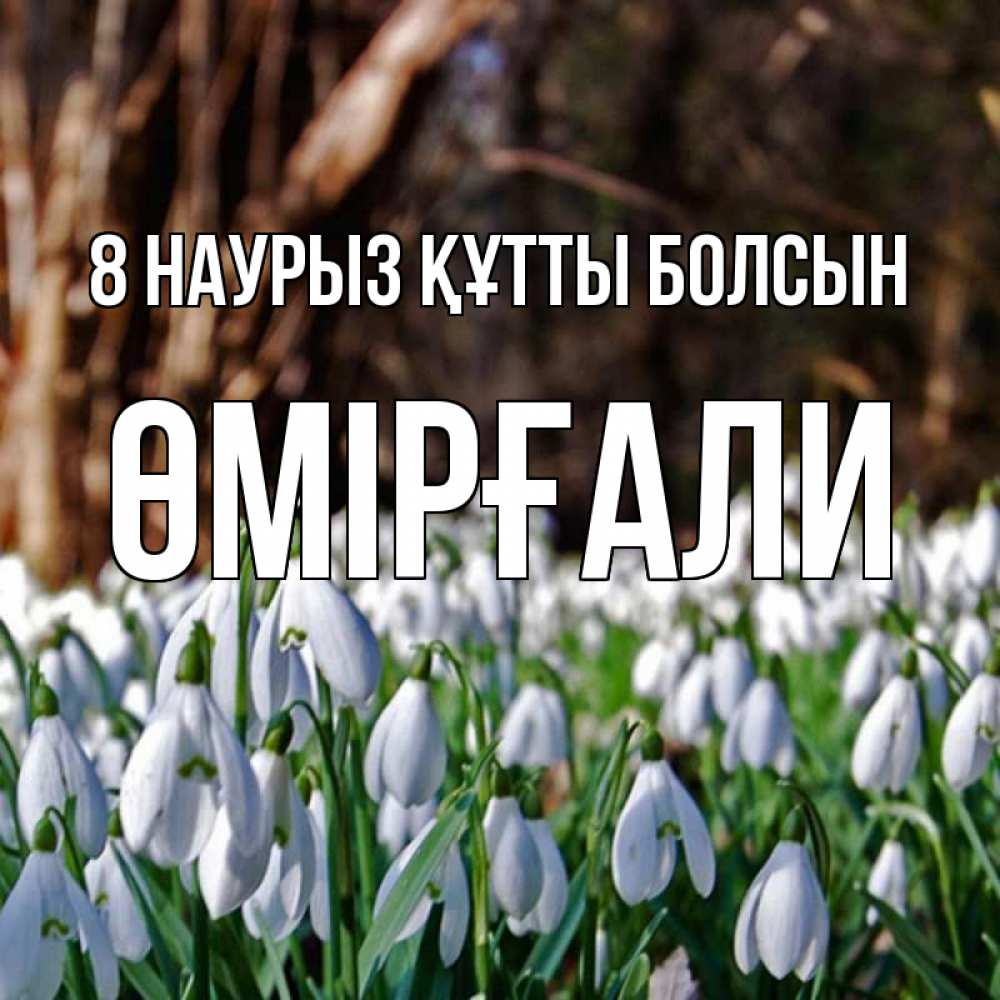 Күн сайын ашық хат с именем, ӨМІРҒАЛИ 8 наурыз құтты болсын с подснежниками 1 Онлайн тегін жүктеп алу тілектері бар керемет карта 