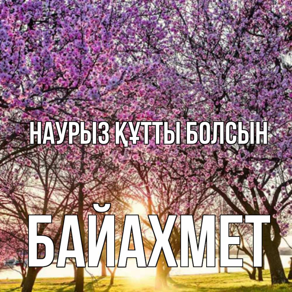 Күн сайын ашық хат с именем, Байахмет Наурыз құтты болсын наурыз Онлайн тегін жүктеп алу тілектері бар керемет карта 