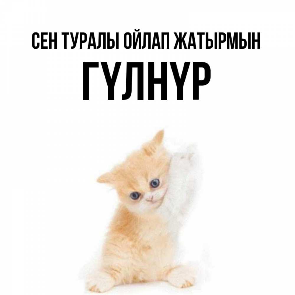 Күн сайын ашық хат с именем, ГҮЛНҮР Сен туралы ойлап жатырмын зверушки и милота Онлайн тегін жүктеп алу тілектері бар керемет карта 