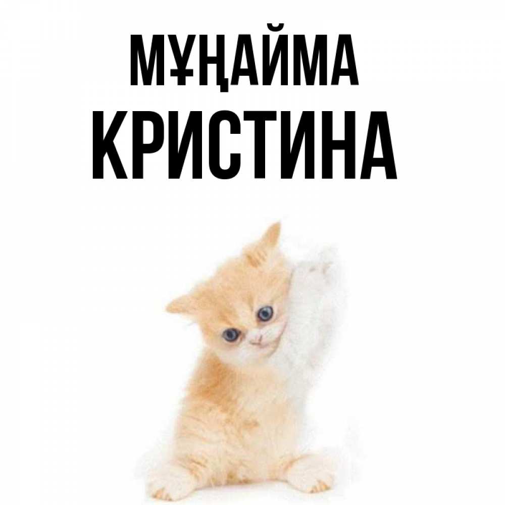 Күн сайын ашық хат с именем, Кристина Мұңайма просящий кот Онлайн тегін жүктеп алу тілектері бар керемет карта 
