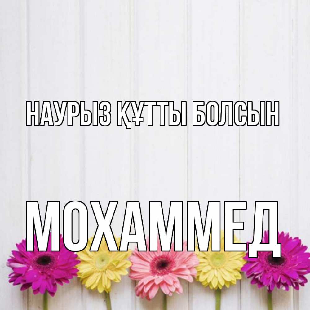 Күн сайын ашық хат с именем, Мохаммед Наурыз құтты болсын женщинам 1 Онлайн тегін жүктеп алу тілектері бар керемет карта 