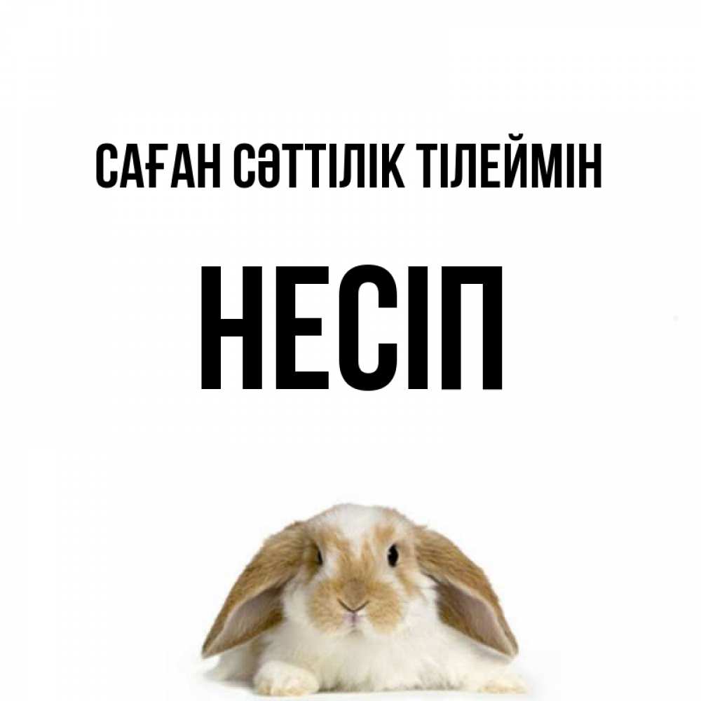 Күн сайын ашық хат с именем, НЕСІП Саған сәттілік тілеймін открытки с произвольным текстом который можно вставить в открытку и создать ее самостоятельно бесплатно онлайн Онлайн тегін жүктеп алу тілектері бар керемет карта 