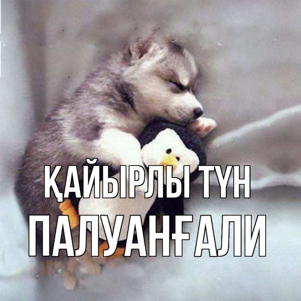 Күн сайын ашық хат с именем, ПАЛУАНҒАЛИ Қайырлы түн обнимашки щенка и пингвина Онлайн тегін жүктеп алу тілектері бар керемет карта 