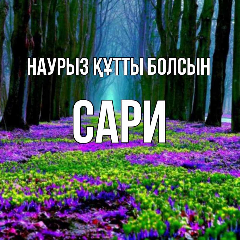 Күн сайын ашық хат с именем, САРИ Наурыз құтты болсын фиолетовые цветы в лесу 1 Онлайн тегін жүктеп алу тілектері бар керемет карта 