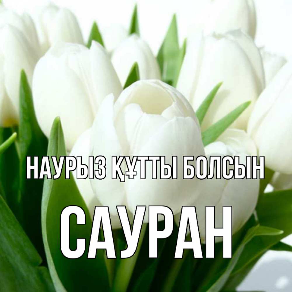 Күн сайын ашық хат с именем, САУРАН Наурыз құтты болсын цветы Онлайн тегін жүктеп алу тілектері бар керемет карта 