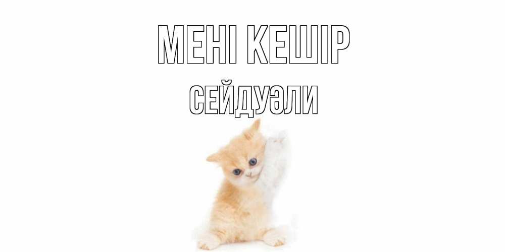 Күн сайын ашық хат с именем, СЕЙДУӘЛИ Мені кешір кот Онлайн тегін жүктеп алу тілектері бар керемет карта 