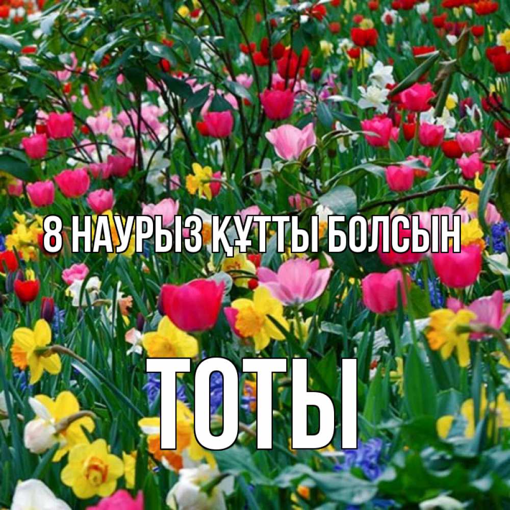Күн сайын ашық хат с именем, ТОТЫ 8 наурыз құтты болсын с международным женским днем поздравления для женщины Онлайн тегін жүктеп алу тілектері бар керемет карта 