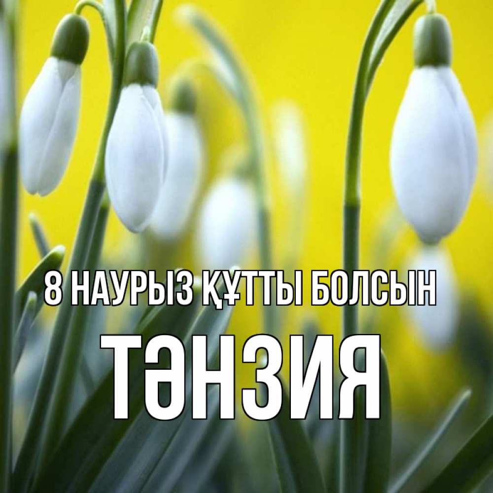 Күн сайын ашық хат с именем, ТӘНЗИЯ 8 наурыз құтты болсын весенние цветы Онлайн тегін жүктеп алу тілектері бар керемет карта 
