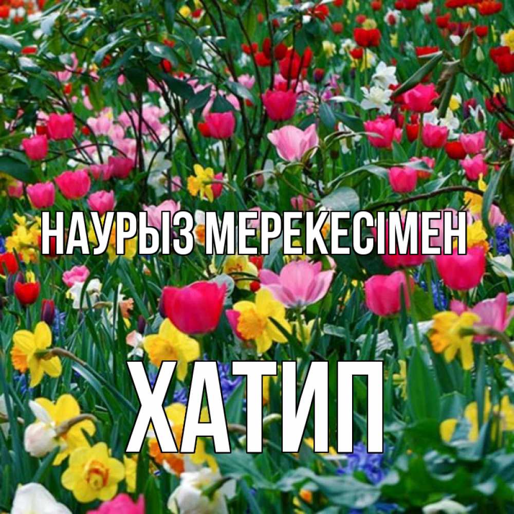Күн сайын ашық хат с именем, ХАТИП Наурыз мерекесімен с наурызом праздником весны поздравления для женщины Онлайн тегін жүктеп алу тілектері бар керемет карта 