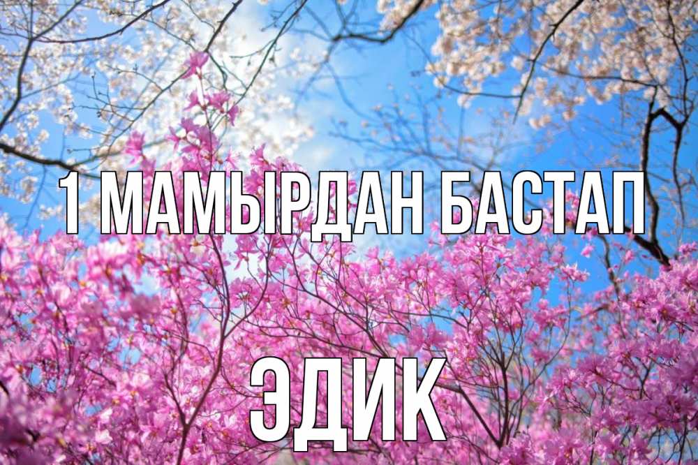 Күн сайын ашық хат с именем, Эдик 1 мамырдан бастап С 1 мая Онлайн тегін жүктеп алу тілектері бар керемет карта 