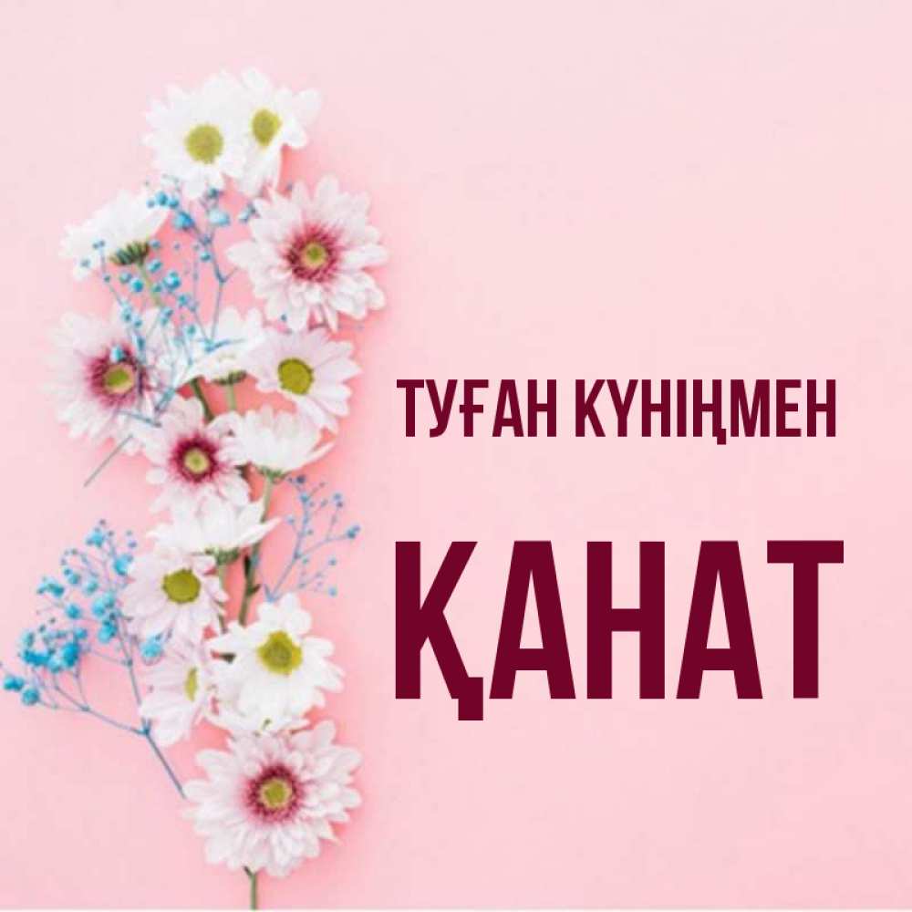 Күн сайын ашық хат с именем, Қанат Туған күніңмен Родная моя с днем рождения тебя картинка с цветами белыми и голубыми Онлайн тегін жүктеп алу тілектері бар керемет карта 