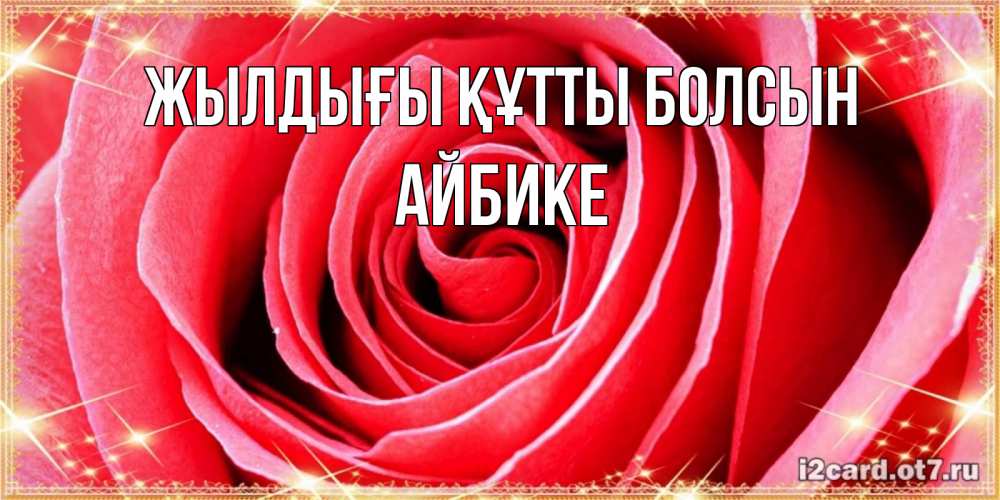 Күн сайын ашық хат с именем, АЙБИКЕ Жылдығы құтты болсын розовая роза очень крупный бутон Онлайн тегін жүктеп алу тілектері бар керемет карта 