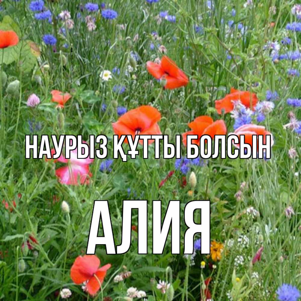 Күн сайын ашық хат с именем, Алия Наурыз құтты болсын наурыз  4 Онлайн тегін жүктеп алу тілектері бар керемет карта 