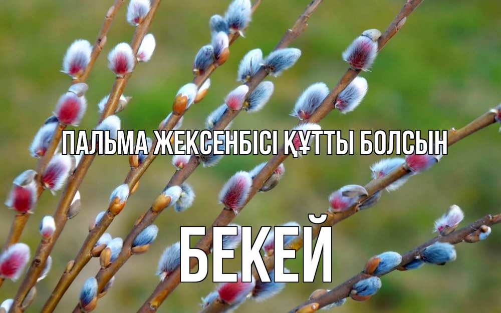 Күн сайын ашық хат с именем, Бекей Пальма жексенбісі құтты болсын верба Онлайн тегін жүктеп алу тілектері бар керемет карта 