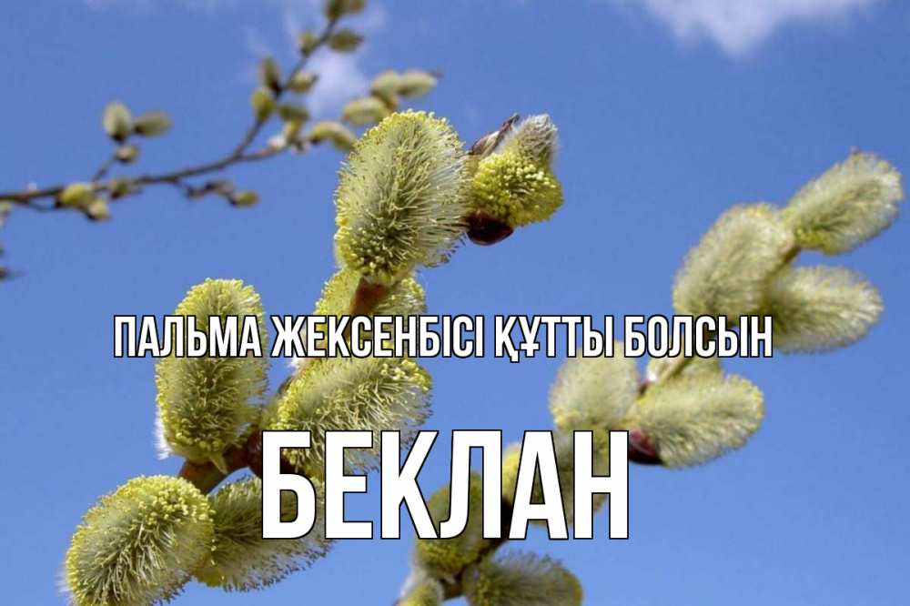 Күн сайын ашық хат с именем, Беклан Пальма жексенбісі құтты болсын верба Онлайн тегін жүктеп алу тілектері бар керемет карта 
